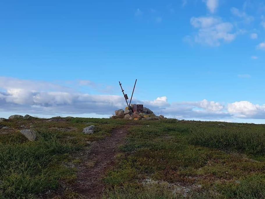 فيلا Bergsgatan 5 أريبلوج المظهر الخارجي الصورة
